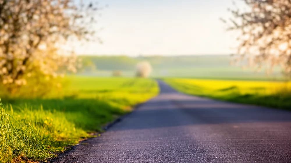 Une route de campagne s’éloigne entre des champs verts, un matin de mai
